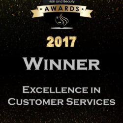2017 winner - excellence in customer services